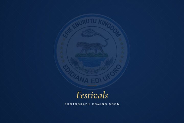 Placeholder: Festivals